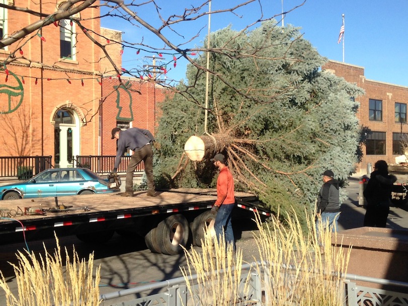 Main Street Square Christmas Tree Hauling