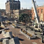 Main Street Square Christmas Tree