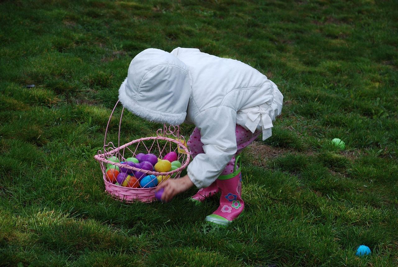 easter, egg, hunt, girl, celebration, basket, green egg, green eggs, green celebrate, easter, easter, easter, easter, easter-13646.jpg