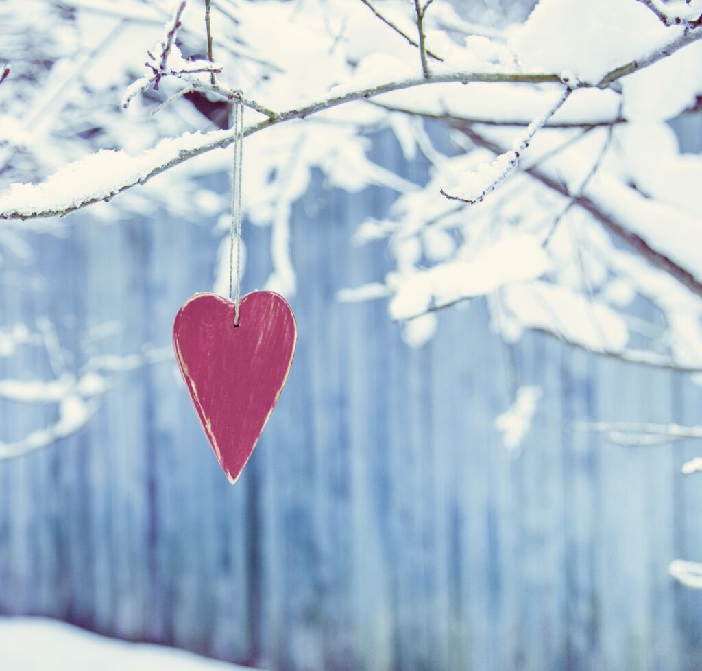 A red heart ornament hanging from snowy branches.